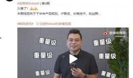 美国高管爆料视频最新消息,揭秘企业内部惊人内幕