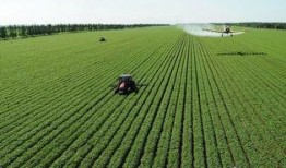 石家庄农业最新爆料,揭秘最新发展动态与亮点