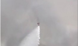 桂平石龙山火最新爆料,揭秘真相与后续影响